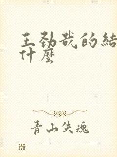 王劲哉的结局是什么