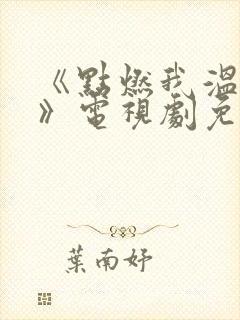 《点燃我温暖你》电视剧免费观看