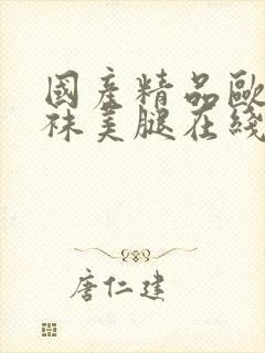国产精品欧美丝袜美腿在线封面