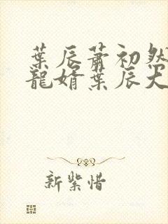 叶辰萧初然上门龙婿叶辰大结局