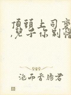 顶头上司变后妈,儿子你别懵封面