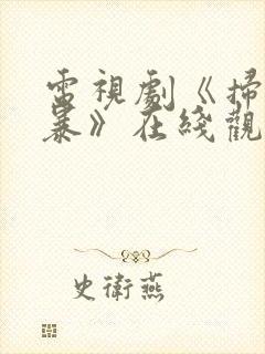 电视剧《扫毒风暴》在线观看