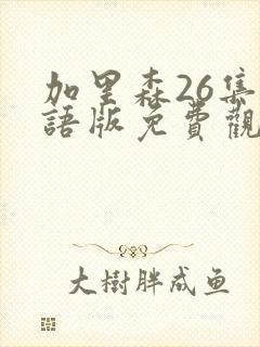 加里森26集国语版免费观看高清