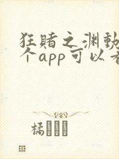 狂赌之渊动漫哪个app可以看