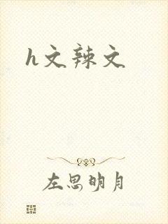 h文辣文封面