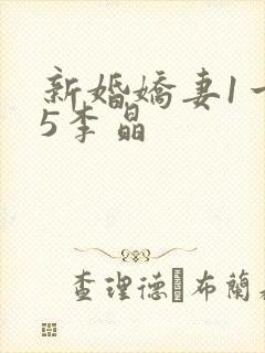 新婚娇妻1一25李晶封面