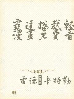 霸道总裁轻轻爱漫画免费看