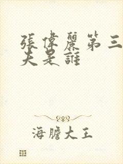 张伟丽第三任丈夫是谁