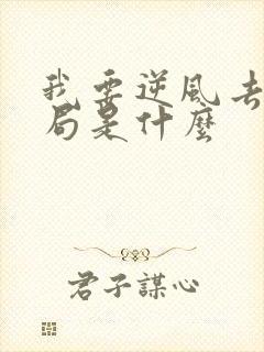 我要逆风去大结局是什么