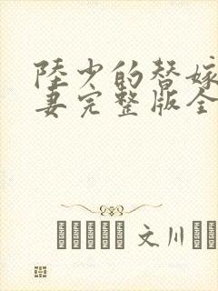 陆少的替嫁小娇妻完整版全文阅读