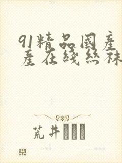 91精品国产自产在线丝袜啪