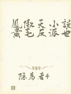 凤傲天小说里的黄毛反派也想要幸福txt下载