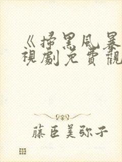 《扫黑风暴》电视剧免费观看完整版