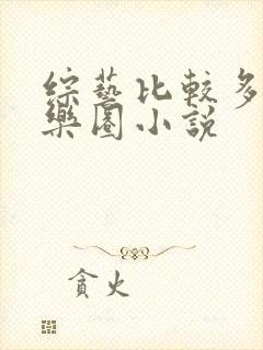 综艺比较多的娱乐圈小说
