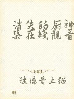 消失的厨神80集在线观看封面