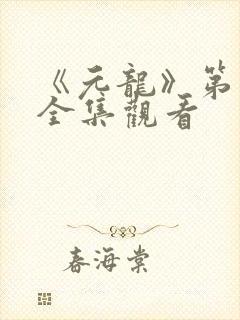 《元龙》第二季全集观看