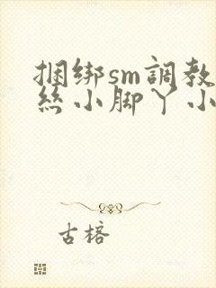 捆绑sm调教白丝小脚丫小说
