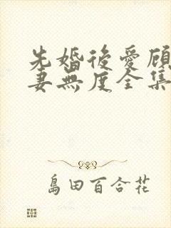 先婚后爱顾总宠妻无度全集