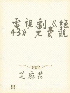 电视剧《绝密543》免费观看全集