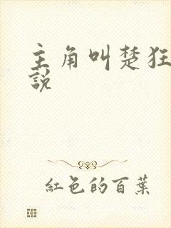 主角叫楚狂的小说