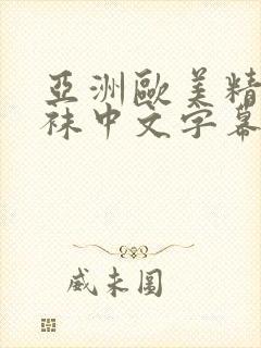 亚洲欧美精品丝袜中文字幕封面