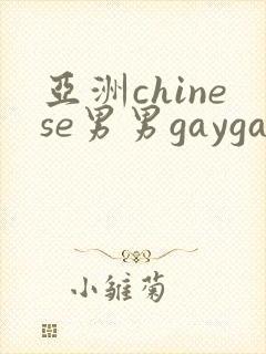 亚洲chinese男男gaygay网站