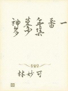 神墓年番一共有多少集