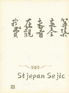 我在未来等你免费观看全集封面