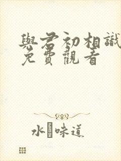 与君初相识短剧免费观看
