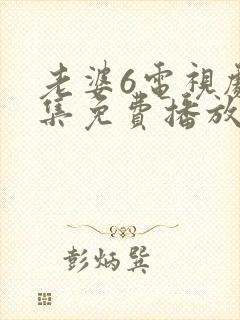 老婆6电视剧全集免费播放西瓜