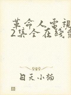 革命人电视剧32集全在线观看