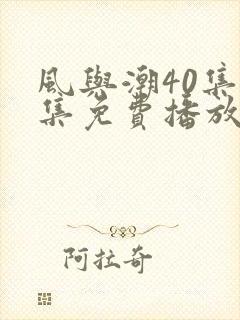 风与潮40集全集免费播放电视剧封面
