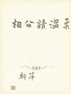 相公请温柔一点封面
