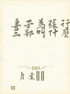 妻子为张行长第三部叫什么