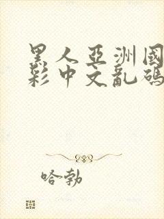 黑人亚洲国产精彩中文乱码av