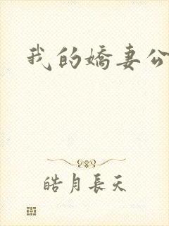 我的娇妻公务员