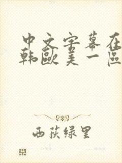 中文字幕在线日韩欧美一区封面