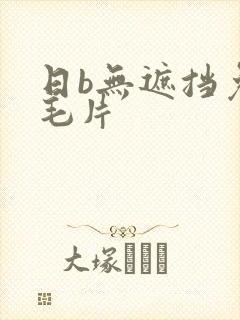 日b无遮挡免费毛片