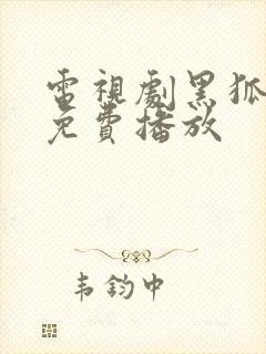电视剧黑狐全集免费播放