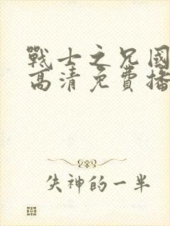 战士之兄国语版高清免费播放
