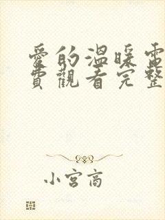 爱的温暖电影免费观看完整版高清