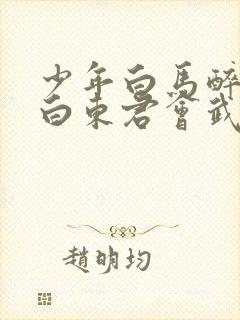 少年白马醉春风白东君会武功吗