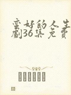 蛮好的人生电视剧36集免费封面