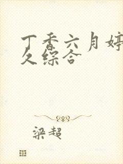 丁香六月婷婷久久综合