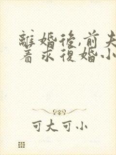 离婚后,前夫哭着求复婚小说阅读