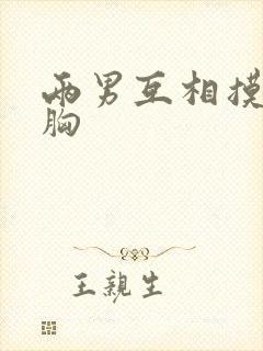 两男互相摸胸吃胸