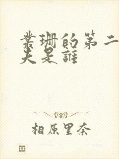 丛珊的第二任丈夫是谁封面