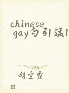 chinese gay勾引猛1video