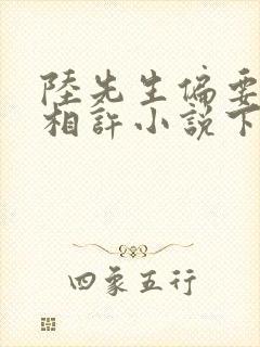 陆先生偏要以婚相许小说下载txt封面