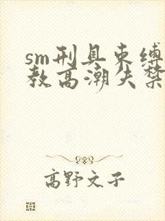 sm刑具束缚调教高潮失禁h文封面